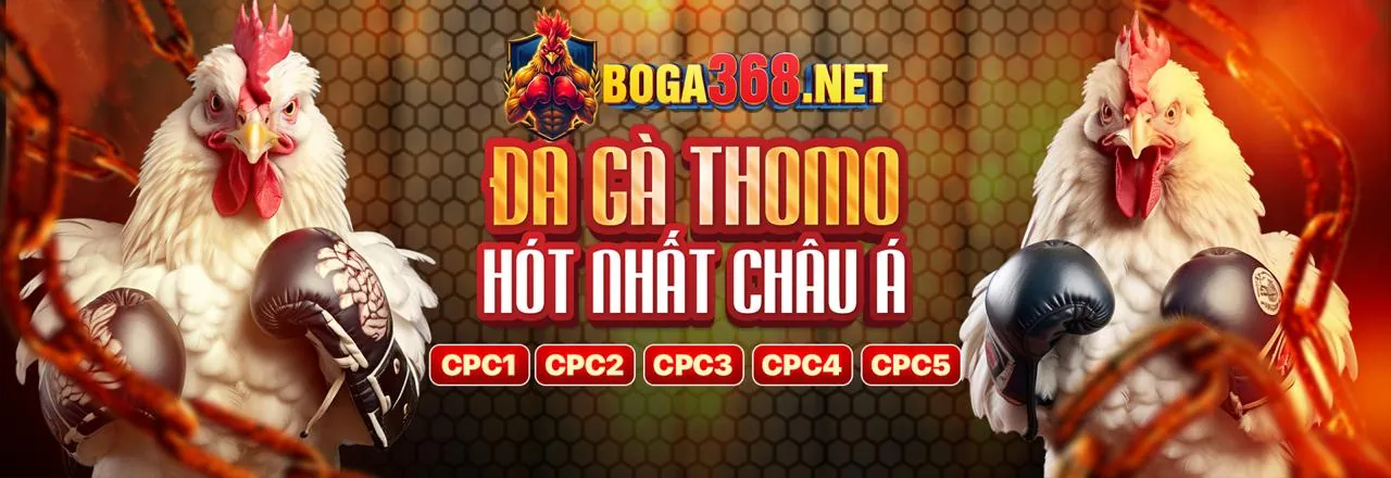 Hoàn trả đá gà hàng tuần tại VIP22